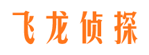 那坡调查公司